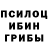 Галлюциногенные грибы MAGIC MUSHROOMS Evgen faf