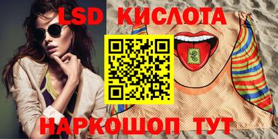 амф Камышлов