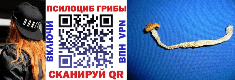 Галлюциногенные грибы мицелий  Валуйки 