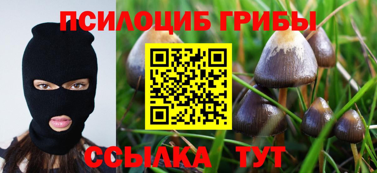 Псилоцибиновые грибы Magic Shrooms Валуйки